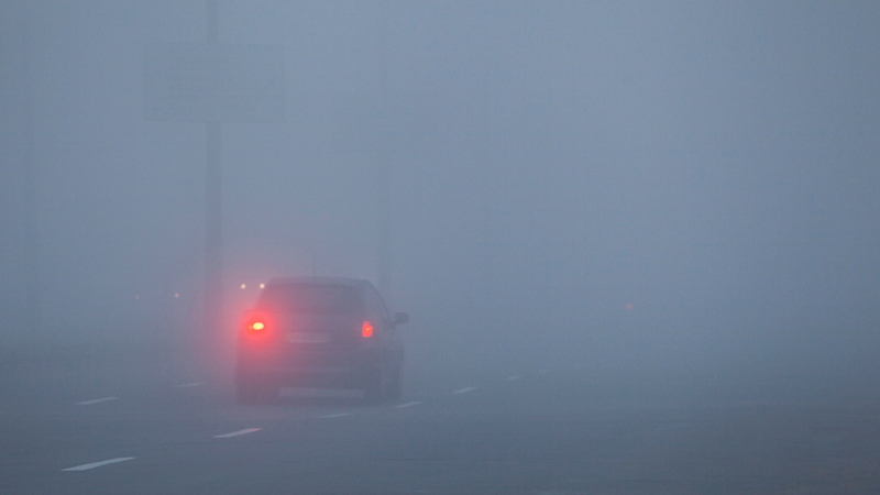 Nebel ohne Stress - Warum führt Nebel so häufig zu Unfällen?